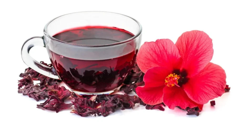 DIE GESUNDHEITLICHEN VORTEILE VON HIBISKUS